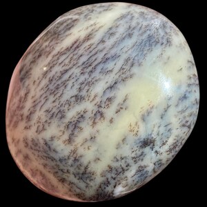 May include: A polished, oval-shaped stone with a creamy white base color. The surface is patterned with intricate, dark brown, tree-like inclusions, creating a natural, organic design. The stone has a smooth, glossy finish.