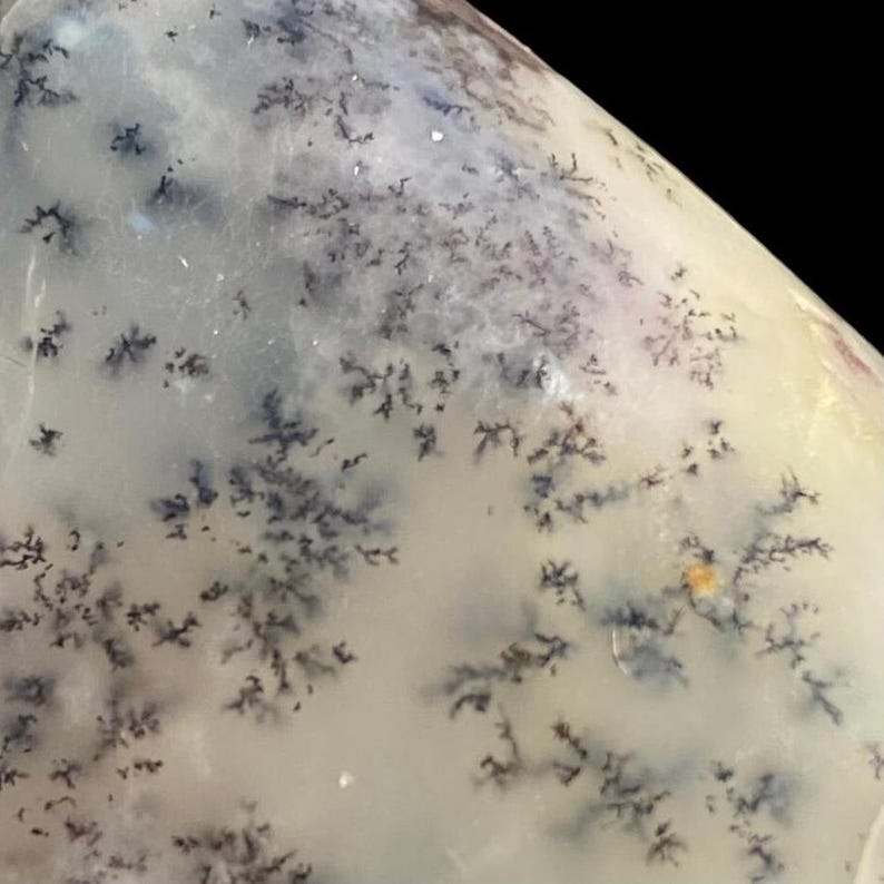 WHITE Dragon Dendritic OPAL image 4