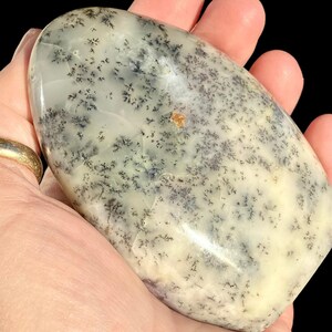 WHITE Dragon Dendritic OPAL image 7