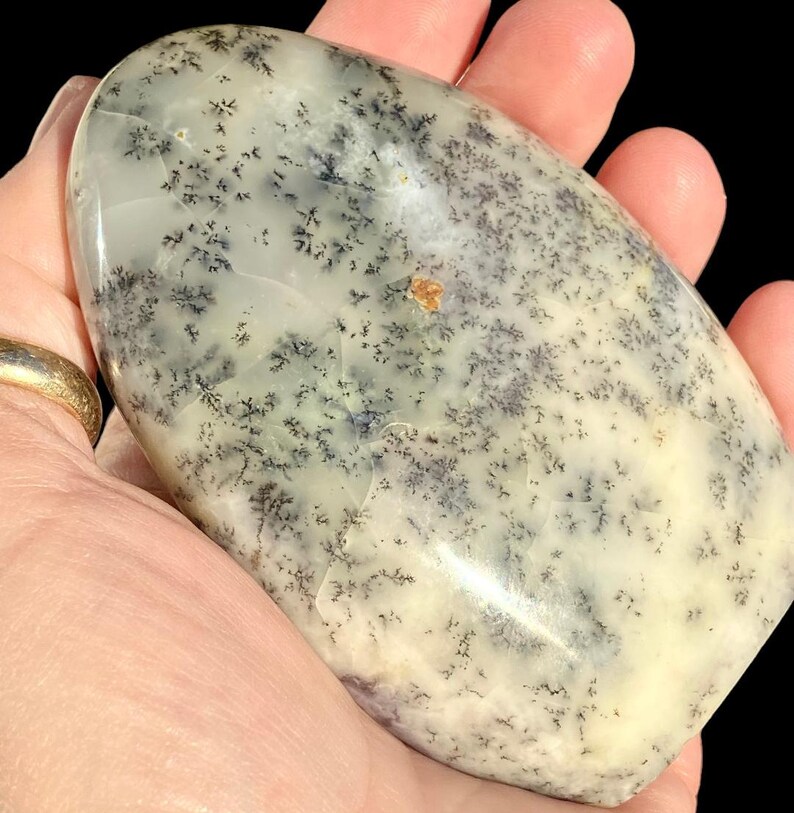 WHITE Dragon Dendritic OPAL image 7