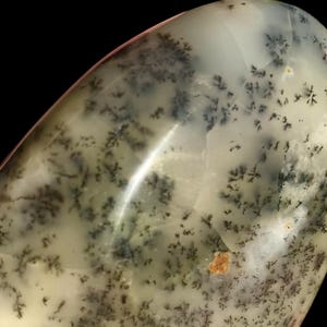 WHITE Dragon Dendritic OPAL image 14