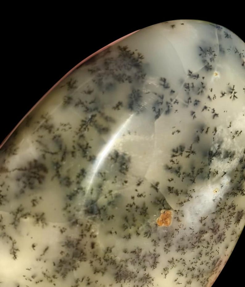 WHITE Dragon Dendritic OPAL image 14