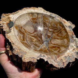 CRYSTALLIZED Quartz PETRIFIED Wood Bowl