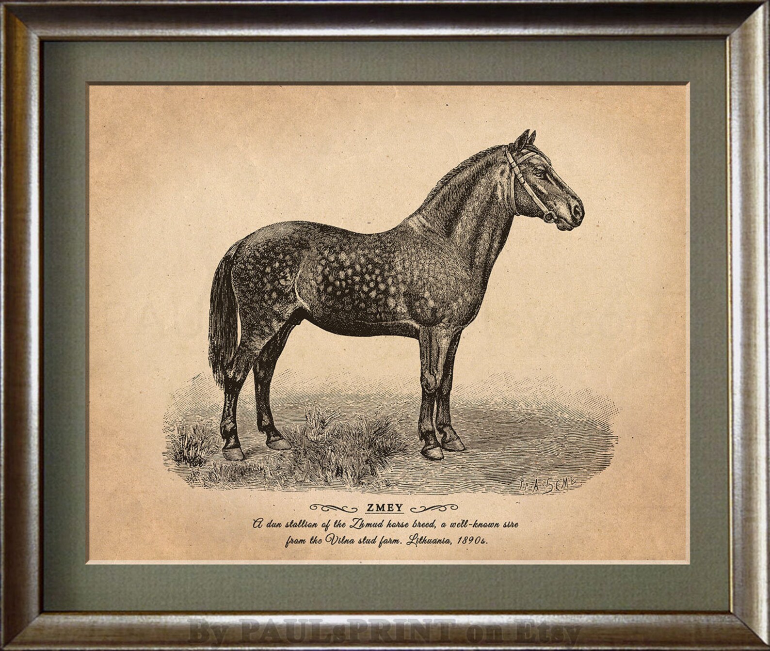 Vintage horse Printable art Antique horse print Vintage | Etsy