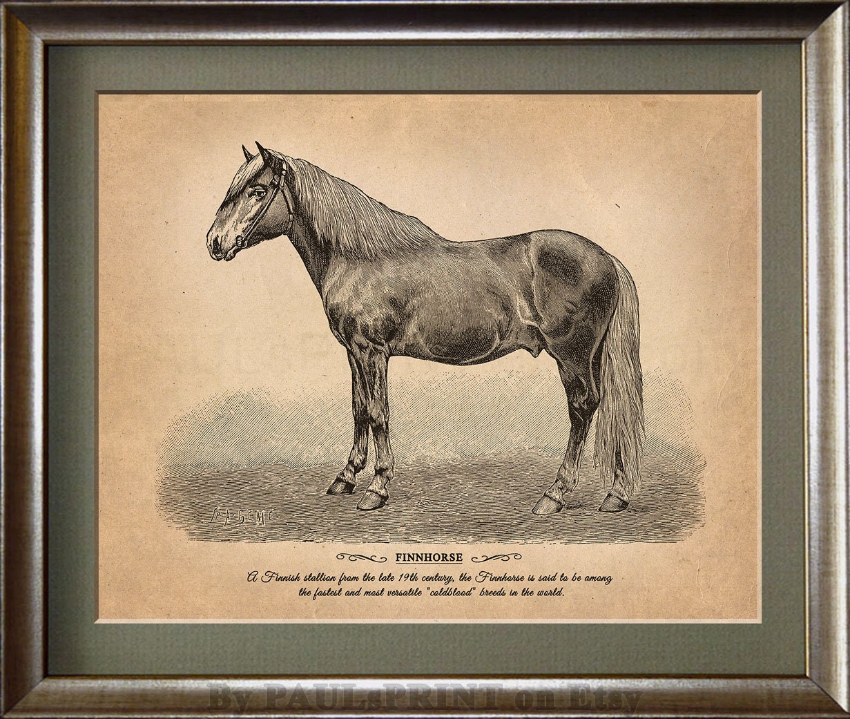 Vintage horse Printable art Antique horse print Vintage | Etsy
