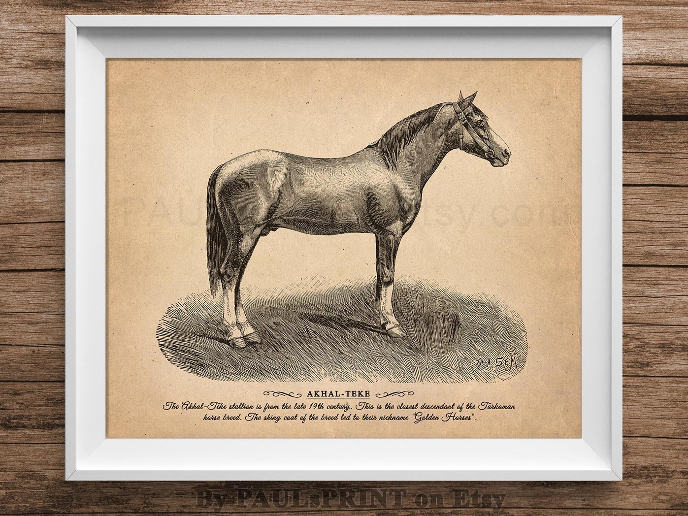 Vintage horse Printable art Antique horse print Vintage | Etsy