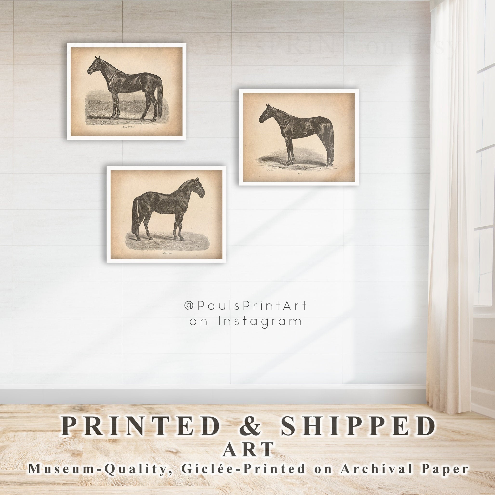 Vintage horse Printable art Antique horse print Vintage | Etsy