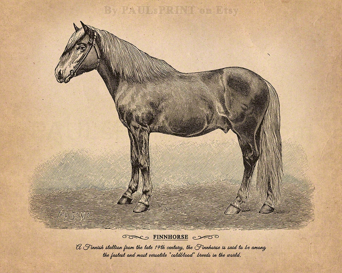Vintage horse Printable art Antique horse print Vintage | Etsy