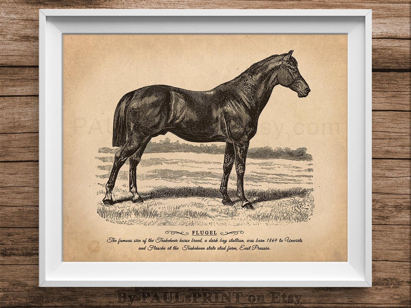 Vintage horse Printable art Antique horse print Vintage | Etsy
