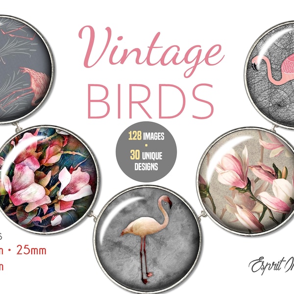 Vintage Birds Designs Collage Sheet Download 30mm 25mm 20mm Cameo Images for Glass Cabochon Resin Jewelry Making, paper craft