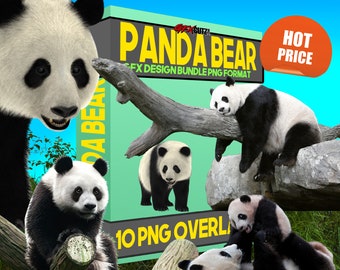 Panda Bear Photoshop Overlays, Great For Compositing Or Photo Manipulation, , Animal Overlay For Digital Backdrops, Clip Art