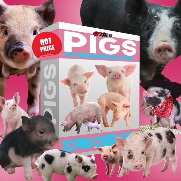 Pig Overlays In Png Format, Photoshop Overlay, Digital Overlay, Photo Overlay, Png, Clipart, (Pigs, Livestock, Farm Animal