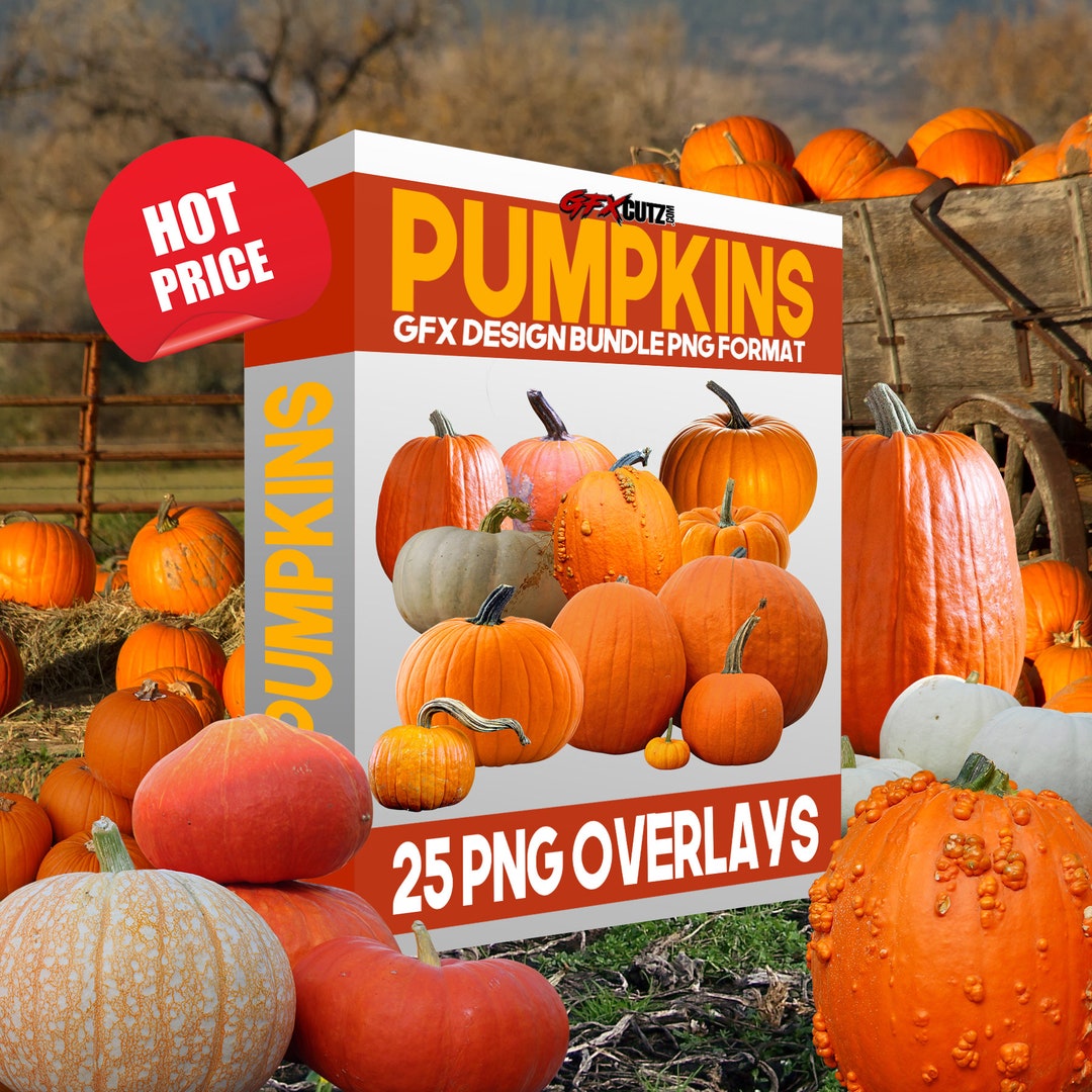 Pumpkins in PNG Format Overlays for Fall or Halloween