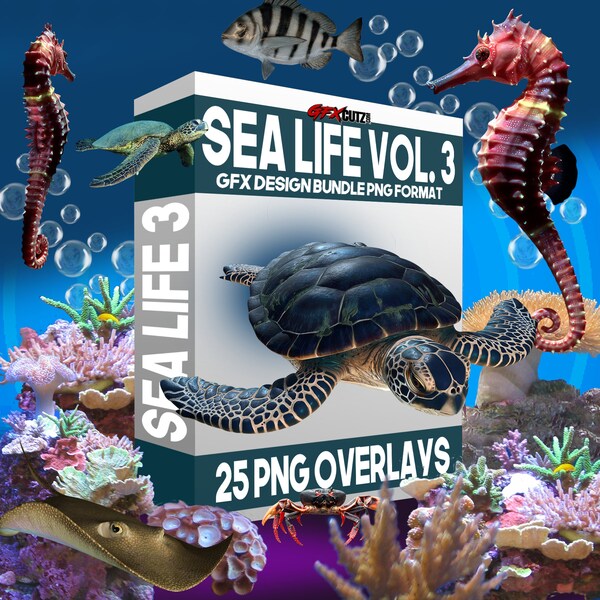 Sea Life 3 Photoshop Overlays, In PNG Format - Ocean, Fish, Turtle, Sea Turtle, Coral, Sea Horse, Fantasy, Beach, Photography, Overlay