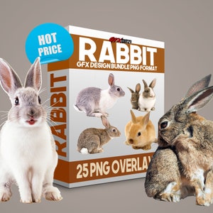 Rabbit Easter Bunny Photo Overlay, Photo Editing, Digital Overlay, Photoshop Overlays, Overlays, Transparent, PNG, Clipart, Animal overlay