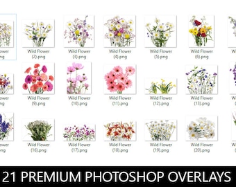 Wild Flowers Photoshop Overlays In Png Format  ( Forrest Overlay, Flower Overlays, Summer Overlays, Digital Overlay, Clip Art, Photo )