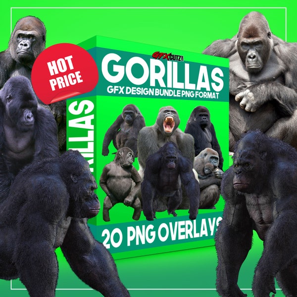 Gorillas Overlays GFX Design Bundle PNG Format - No Background Images (Monkey Overlay, Ape Overlay, Gorilla Overlay, Animal Overlays)