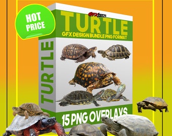 Turtle Photoshop Overlay Bundle In PNG Format (Reptile Overlay, Animal Overlay, tortoise overlays, composite, Digital Download, Clipart