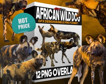 African Wild Dog Photoshop Overlays In PNG Format - Animal Overlays, Dog Overlays, Fantasy Overlays, Wild Animal Overlay, Animal Clipart