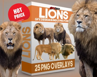 Lions Photoshop Overlay Bundle In PNG Format / Clip Art / Digital Download / Scrapbooking / Animal Overlays / Fantasy Art / Jungle