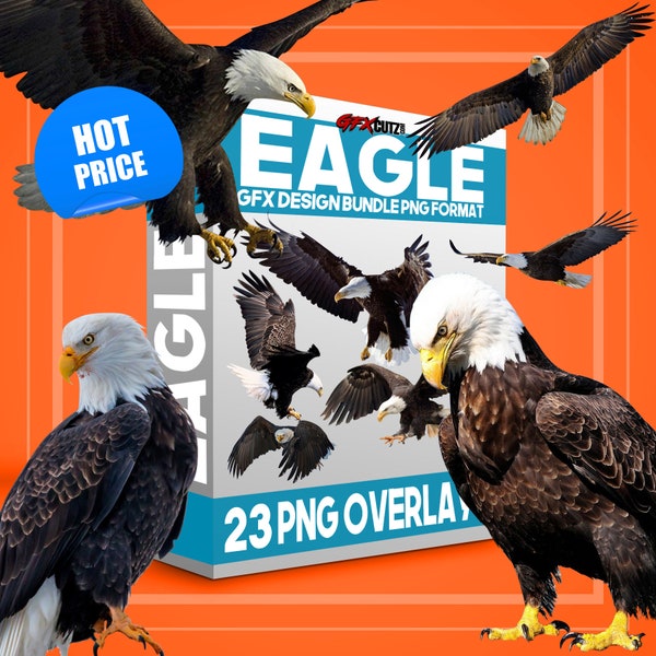 Eagle Photoshop Overlays, Great For Compositing Or Photo Manipulation, American Flying Birds, Animal Overlay For Digital Backdrops, Clip Art