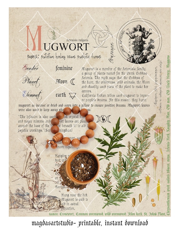 Book of Shadows, Printable, Grimoire Pages, Herbs, Witchcraft