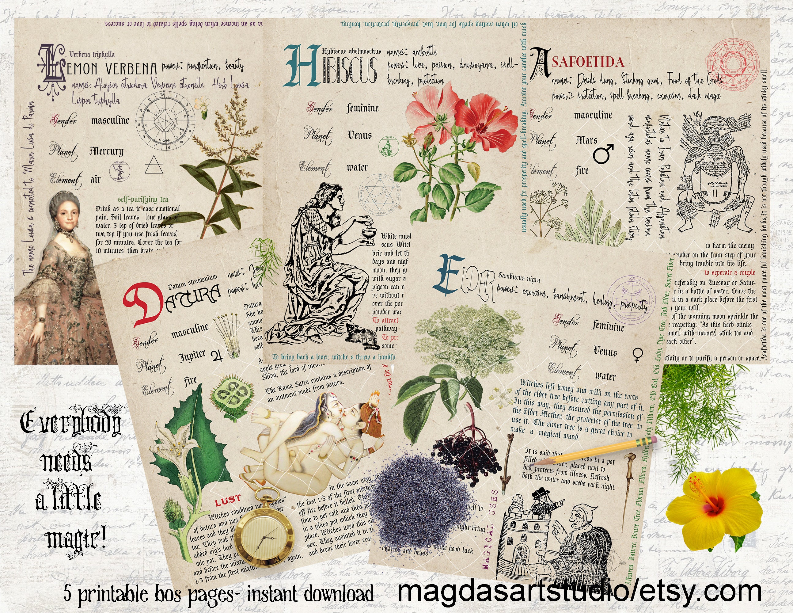 Printable Grimoire Pages Book of Shadows Herbs Witchcraft - Etsy