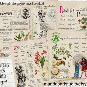 Book of Shadows, printable, grimoire pages, herbs, witchcraft, herb journal, five journal pages, P28, instant download