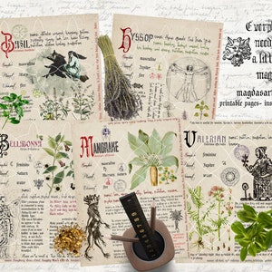 Book of Shadows, printable pages, herb magic, grimoire, witchcraft, wiccan, stationery, herb journal, P23, printable, instant download