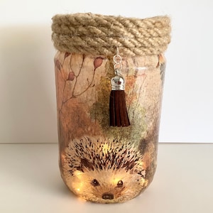 Hedgehog Decorative Light up Jar, Woodland Decor, Garden Lantern, Gift for Hedgehog Lovers