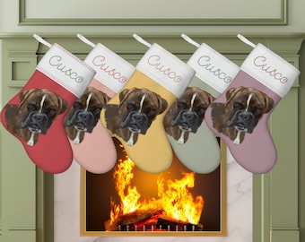 May include: Five Christmas stockings in shades of red, pink, yellow, green, and purple, each featuring a Boxer dog's face. The word "Cusco" is embroidered on the white cuff of each stocking. The stockings are hanging above a fireplace with a burning fire.