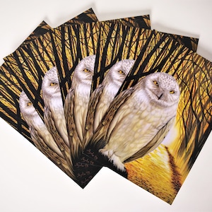 Cartoline del mio surreale dipinto di gufo "Guardiano della Foresta"! Set di 5 cartoline dello stesso desing!