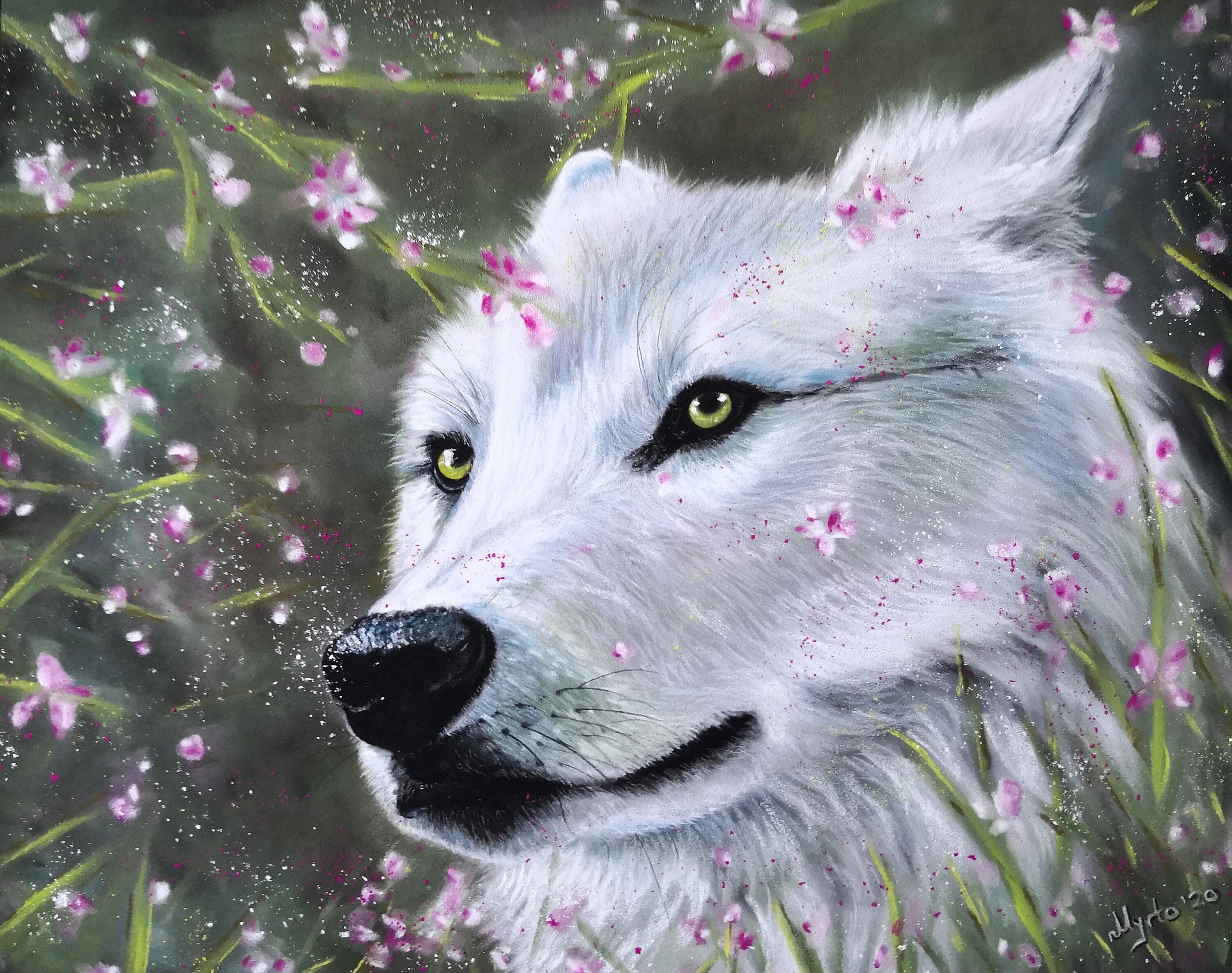 Wolf Fine Art Print. High Quality Art Print of a Wolf With a | Etsy