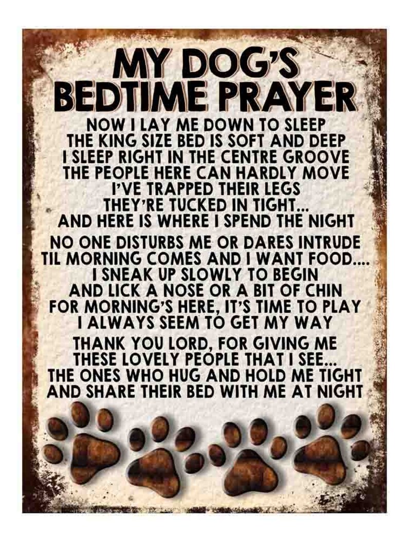 My Dog's Bedtime Prayer Pawprints Retro Metal Sign / Etsy