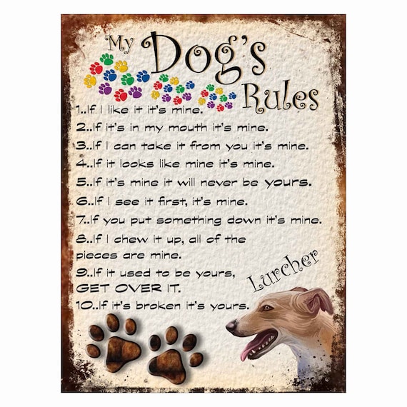 Funny hotsell lurcher pictures