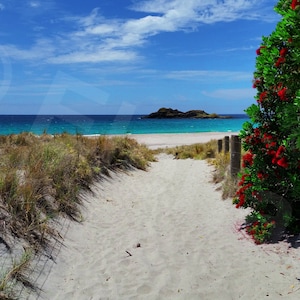 Ocean Beach, New Zealand Landscape Photography Art Print image 1