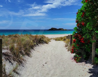 Ocean Beach, New Zealand - Landscape Photography Art Print