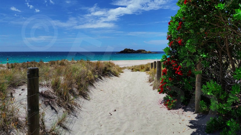 Ocean Beach, New Zealand Landscape Photography Art Print image 1