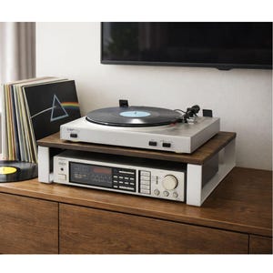 Plattenspieler, Regal, einfache Medienkonsole, Stahl und Sperrholz Verstärker und Grammophontisch, Schallplatte, kompakte Musikstation