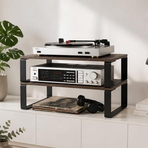 May include: A contemporary entertainment unit featuring a record player, stereo receiver, and vinyl records. The unit has a dark wood finish and a black metal frame. A black lamp and a potted plant are also visible.