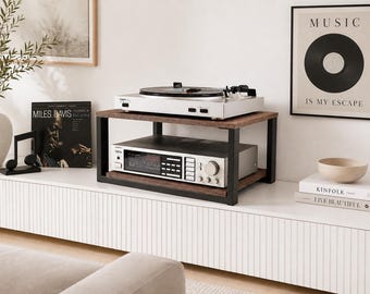 Modern Turntable Stand, steel and plywood Amplifier Table, Vinyl, compact media console, music station