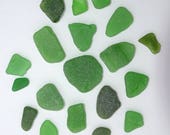 Green Sea Glass Pieces Genuine Sea Glass Ocean wave tumbled Craft Supply 18