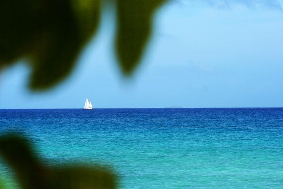 Sailboat Photo In Distance Island South Pacific Polynesia Etsy