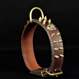 Dog collar in brown leather with solid brass warhead decorations, skull
