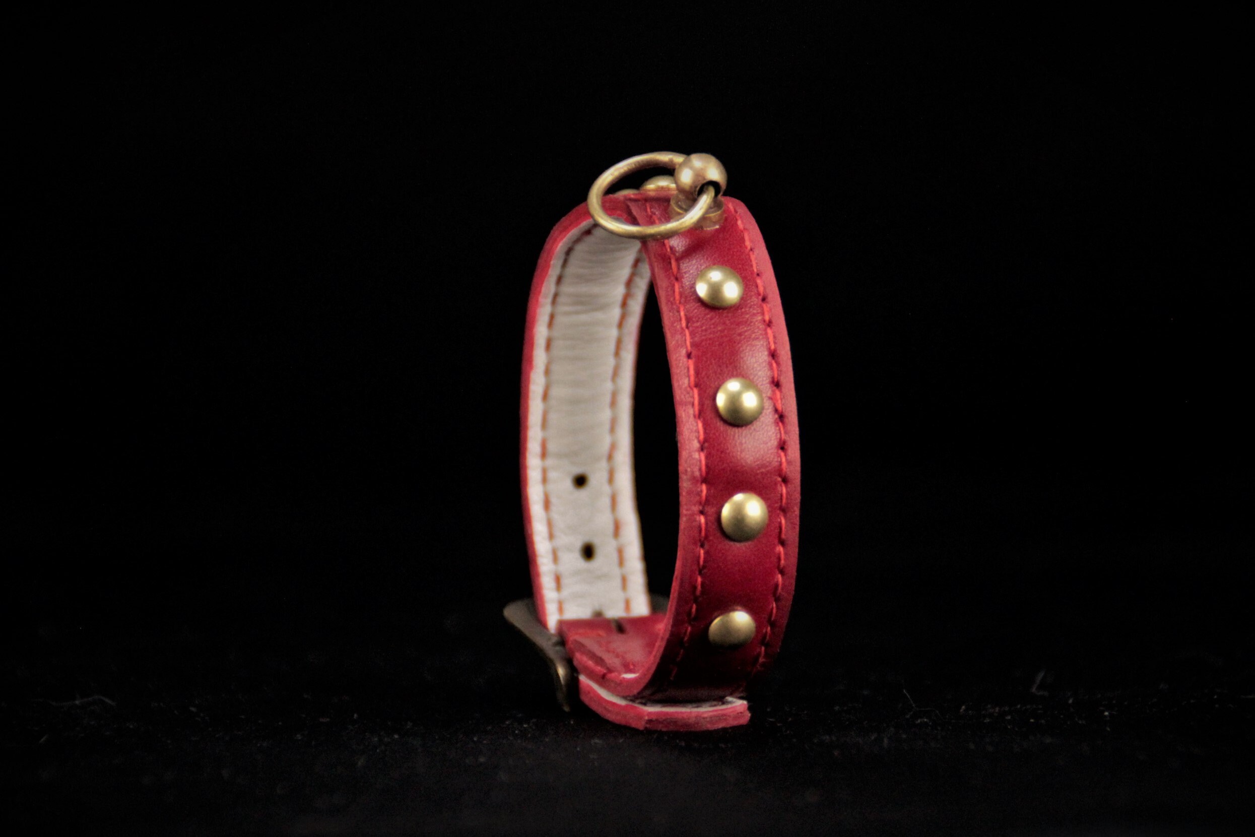 Collier Pour Petit Chien, Type Chihuahua, en Cuir Vachette et Décors Laiton