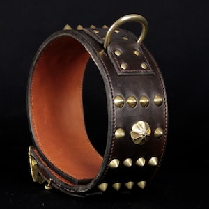 Collar &quot;Empire&quot; for dog , molosse , dog collar, leather / brass decorations