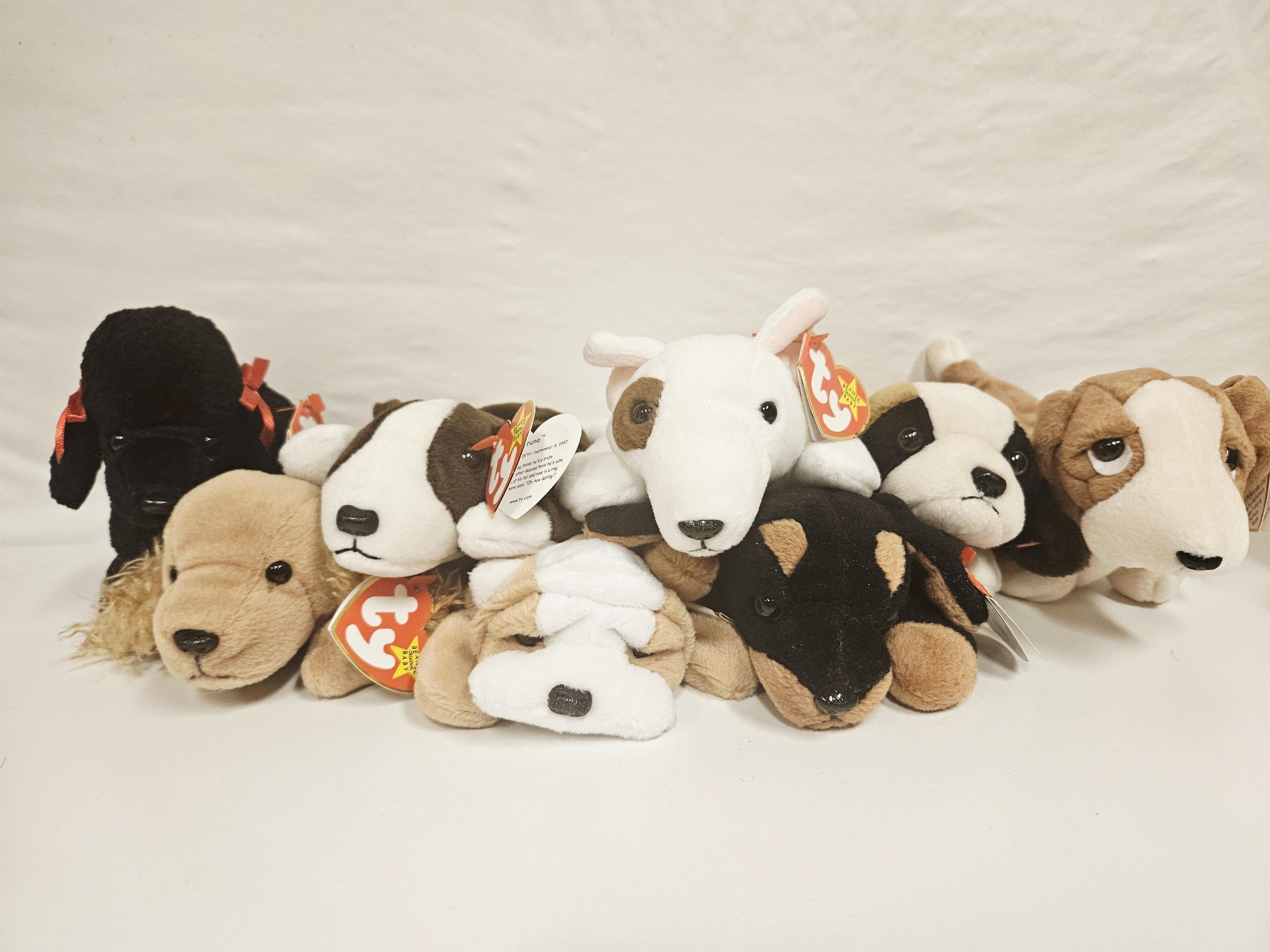 Ty Dog Beanie Babies, Spunky, Tracker, Doby, Bruno, Gigi, Wrinkles
