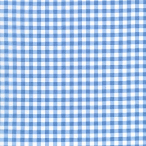 May include: A blue and white gingham fabric with a checkered pattern.
