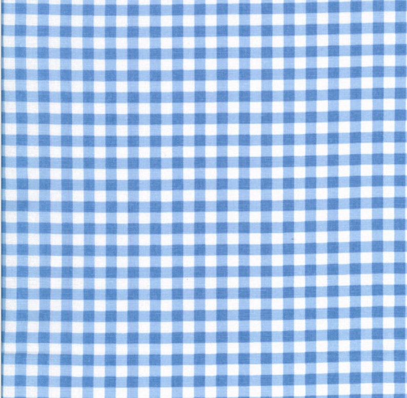 May include: A blue and white gingham fabric with a checkered pattern.