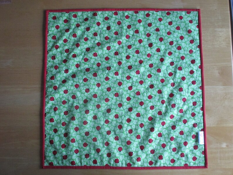 Doll Picnic Blanket & Napkins American Girl / Boy Doll Etsy